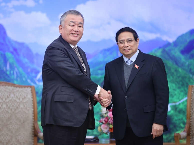 他们的实力